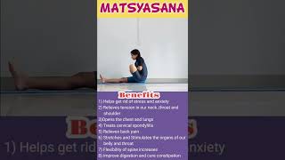 MATSYASANA  Fish pose  Benefits 2022 ytshorts shorts youtubeshorts [upl. by Elok]