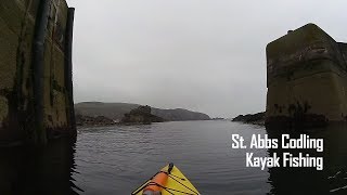 Kayak Fishing Catching Cod at St Abbs [upl. by Aneroc]