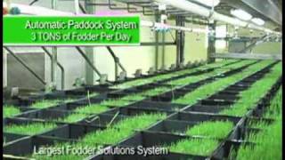 Fodder solutions  feed solutions for horses [upl. by Jessy]