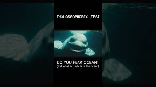 Extreme thalassophobia test shorts megalophobia thalassophobia [upl. by Jasun]