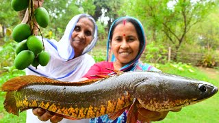 গাছের আম দিয়ে শোল মাছের আমশোল রান্না  Shol fish and raw mango curry in village style  villfood [upl. by Notsew]