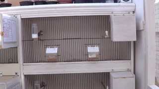 Zebra Finch Breeding Cages [upl. by Lewin]