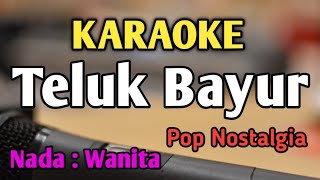 TELUK BAYUR  KARAOKE  NADA WANITA CEWEK  Pop Nostalgia  Ernie Djohan  Live Keyboard [upl. by Leugimsiul]