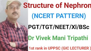 Structure of Nephron [upl. by Manson]