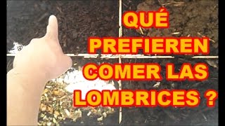 LOMBRICES ¿ QUÉ PREFIEREN COMER   RETO 4 ALIMENTACIONES [upl. by Nnyliak893]