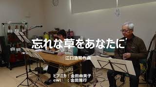 忘れな草をあなたに ピアニカ・イウイ演奏 [upl. by Zednanreh165]