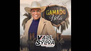 GAMADO NELA  VALL SYLVA PLAYBACK [upl. by Brodsky655]