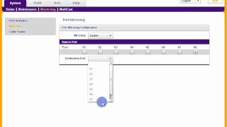 Using The Netgear gs108e As A Tap [upl. by Leemaj]