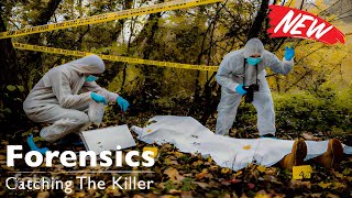 Forensics Catching the Killer S04E05 🔥 A Murder in Butetown 🔥 UK Murder Documentary [upl. by Langham]