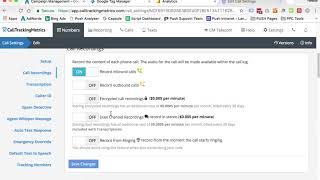How To Setup Call Tracking through Call Tracking Metrics  Part 2 [upl. by Alakim973]