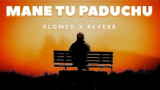 Mane Tu Paduchu Alo Pageli Odia Slow Reverb Lofi Song l Human Sagar l odialofisong [upl. by Enamart]