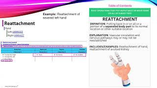 Root Operation Video 5 ROOT OPERATIONS THAT PUT INPUT BACK OR MOVE SOME OR ALL OF A BODY PART [upl. by Awram132]