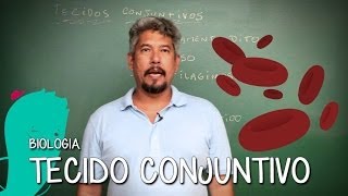 O que são Tecidos Conjuntivos  Extensivo Biologia  Descomplica [upl. by Woehick]