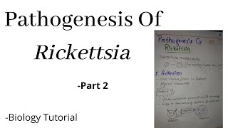 Pathogenesis of Rickettsia ll Part2 Il Biology Tutorial [upl. by Vedette950]