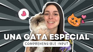 😺Spanish for basic level students  Comprehensible input in Spanish [upl. by Errick]