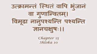 Bhagavad Gita  Sanskrit recitation with Sanskrit text  Chapter 15 [upl. by Tsyhtema40]