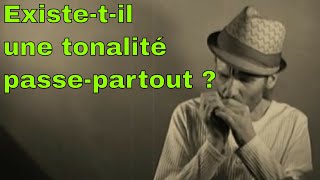 harmonica  Existetil une tonalité passepartout   5 minutes pour vous répondre [upl. by Garin]