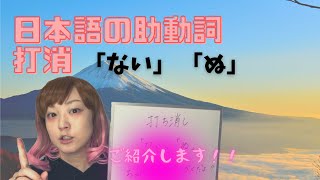 【助動詞】打消の「ない」と「ぬ」ってどうやって使うの？ [upl. by Mintun]