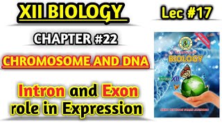 Role of Introns and Exon in Gene Regulation  lec 17 Chromosomes and DNA class 12 [upl. by Eatnod720]