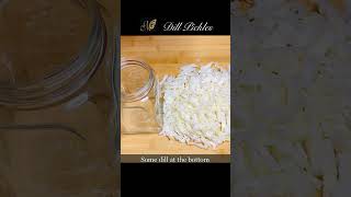 Easy Dill Pickles pickled cucumber shorts youtubeshorts [upl. by Thorr]