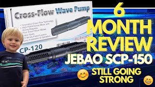 Jebao SCP150 Sine Cross Flow Gyre 6 Month Review [upl. by Nyer182]