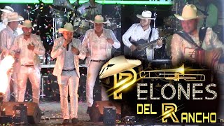 LOS REYES DEL ZAPATEADO  Los pelones del rancho En Vivo 2024 [upl. by Qiratla]