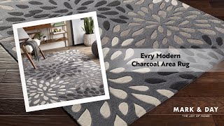 Evry Modern Charcoal Area Rug [upl. by Lenssen560]