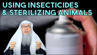 Can we Spay Neuter or Sterilize Cats Dogs amp other Animals in Islam [upl. by Wycoff780]