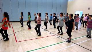 Feel Like Crying  Jan Brookfield  Line Dance Dance amp Walk Thru [upl. by Niamert787]