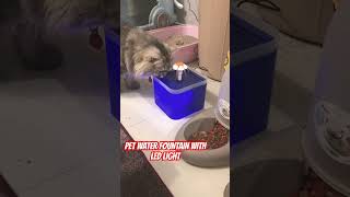 Pet water fountain LED light visual Cat or Dog Water Feeder petcare breadcat shortvideo シ゚viral [upl. by Leler293]