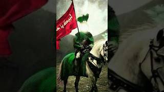 HAZRAT IMAM ABBAS ALI yaali imamalias islamicfigure allah history hazratimamaliasviralshort [upl. by Talanian842]