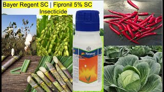 Bayer Regent SC  Fipronil 5 SC  Insecticide  Complete information [upl. by Essilem834]