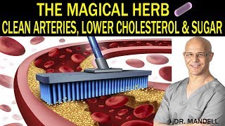 THE MAGICAL HERB THAT CLEANS ARTERIES LOWERS CHOLESTEROL amp SUGAR  Dr Alan Mandell DC [upl. by Ecnaled]