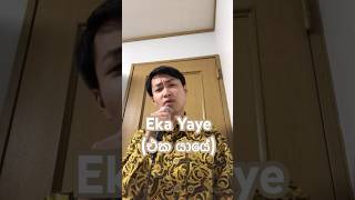 Eka Yaye Kaka Wetiඑක යායේ කකා වැටී by Edward Jayakody cover srilanka sinhala [upl. by Abbot803]