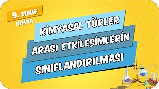 Kimyasal Türler Arası Etkileşimlerin Sınıflandırılması  9Sınıf Kimya 2024 [upl. by Vilhelmina]