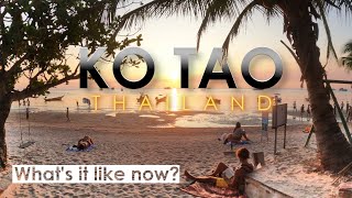 Ko Tao Thailand 🇹🇭  Whats it Like Now Watch Before You Go  Thailand Travel [upl. by Salguod]