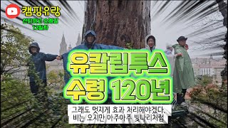 12부 산티아고 순례길 14박 15일 그 12일차20241019 [upl. by Anuhsal]