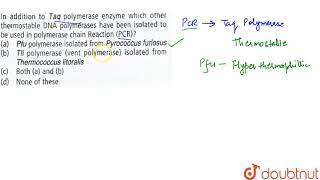 In addition to Taq polymerase enzyme which other thermostable DNA polymerases have [upl. by Matthei668]