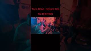 TotoBand  Despre tine party cover [upl. by Ihsir]