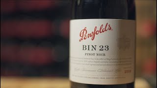 Introducing Penfolds Bin 23 Pinot Noir 2018 [upl. by Quartis235]