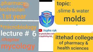 Mycology  Slime and mold  Microbiology Pharmacy Technician [upl. by Cud271]