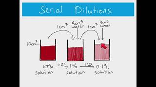 AS Biology  How to calculate serial and simple dilutions [upl. by Adnirual]