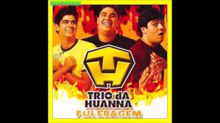 Trio da Huanna  Volume 1  CD Fuleragem 2005 [upl. by Eidnyl]