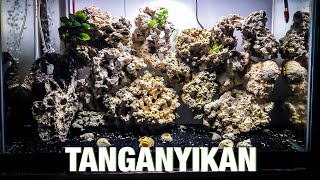 29 Gallon Tanganyikan Tank [upl. by Seroka]