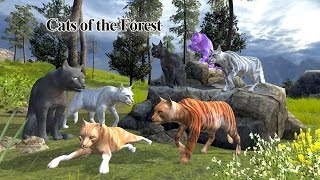 Cats of the Forest by Wild Foot Games Android Gameplay HD [upl. by Lyrac]