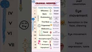 Cranial Nerves nursing cranialnerves [upl. by Adnir]