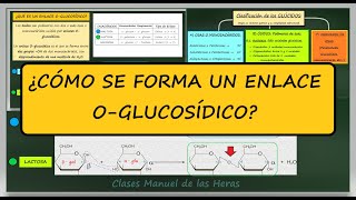 Enlace O Glucosídico alfa y beta Disacáridos Glúcidos Biomoléculas Biología [upl. by Pampuch]