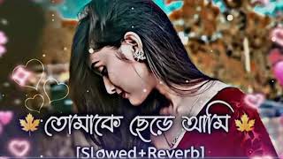 🌼Tomake Chere Ami 🎶 Bindaas Dev Srabanti Habib Wahid SVFlofi [upl. by Windy]