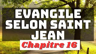 EVANGILE SELON ST JEAN chapitre 16 [upl. by Halley313]