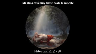 Mi alma está muy triste hasta la muerte  Mateo cap 26 versos 36  38 [upl. by Aileno]